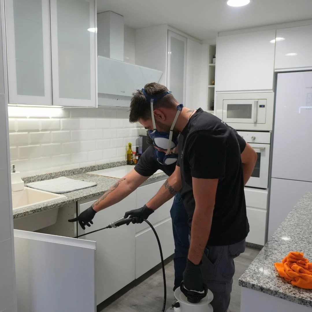 Aplicación de un tratamiento localizado por tecnicos cualificados de PLAGUISA contra cucaracha americana en una cocina